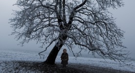 A Winter's Tale 2012 image