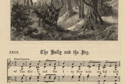 Holly_And_The_Ivy_23a